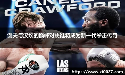 谢夫与汉坎的巅峰对决谁将成为新一代拳击传奇