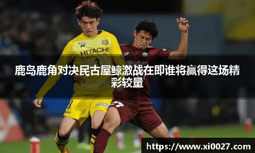 博鱼官网