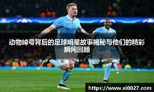 动物绰号背后的足球明星故事揭秘与他们的精彩瞬间回顾